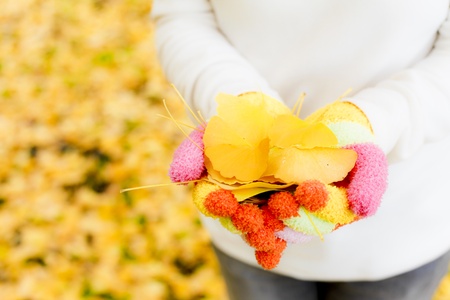 autumnの写真素材