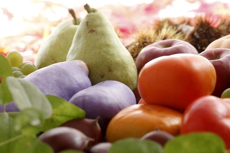 Foods of autumn    の写真素材