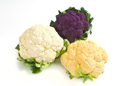 white backgroundの写真素材