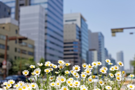 urban environmentの写真素材