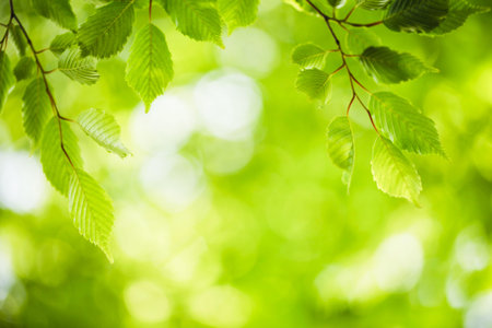 Fresh green leaves