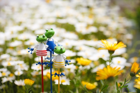 tree frogの写真素材