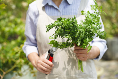 harvestingの写真素材