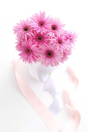 gerberaの写真素材