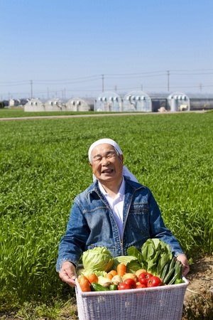 agricultureの写真素材