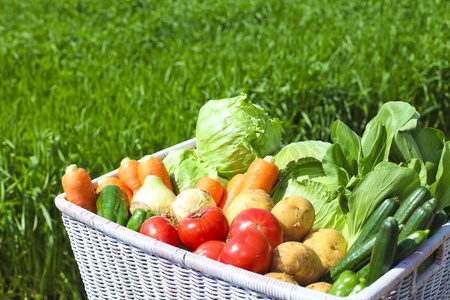 vegetablesの写真素材