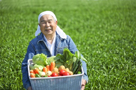 agricultureの写真素材