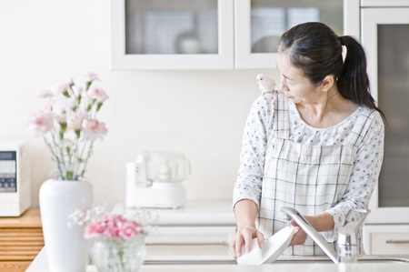 bird, budgerigarの写真素材