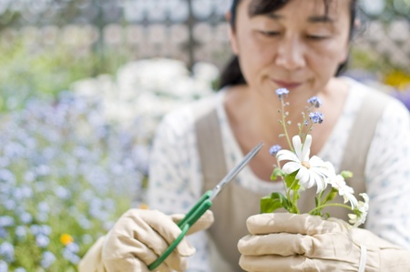 Woman gardeningの写真素材