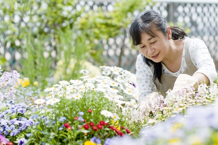 Woman gardeningの写真素材