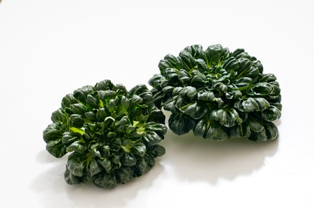 Chinese vegetablesの写真素材