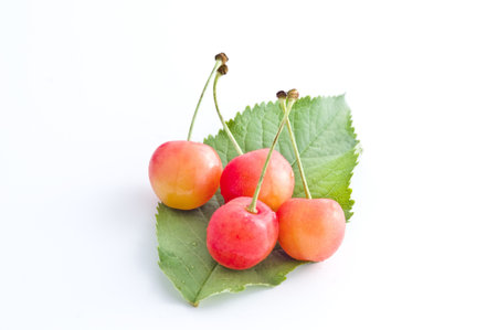 Cherry