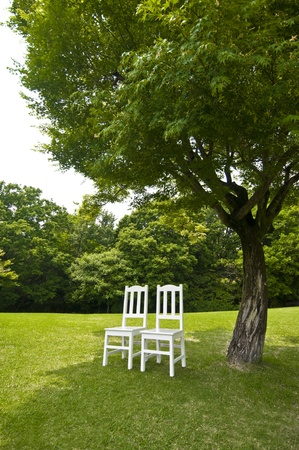 seatsの写真素材