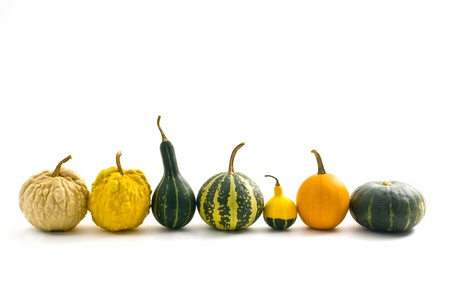 Pumpkinの写真素材