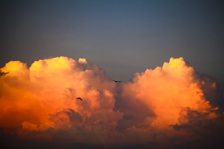  sunset, summerの写真素材