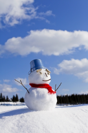 Snowmanの写真素材
