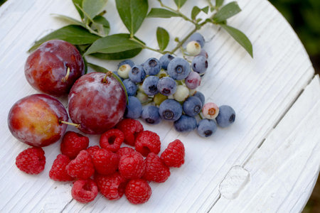Berry harvest