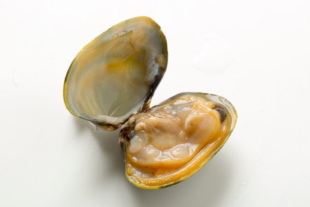 Clams from Japan