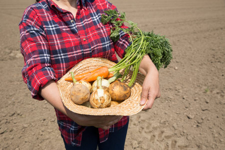 Vegetable harvest, image