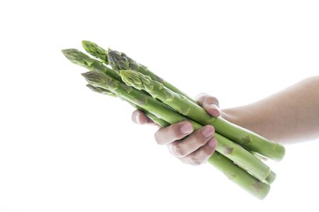 fresh Asparagusの写真素材