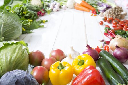 Various kinds of freshly harvested vegetablesの写真素材