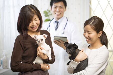 Animal hospital staffの写真素材