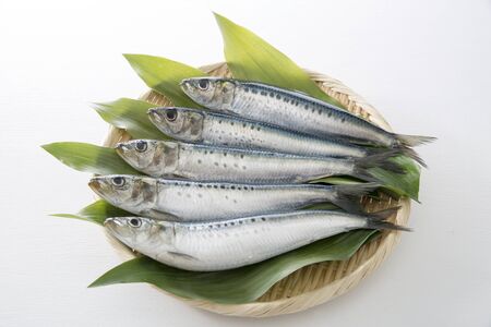 Sids, Japanese coastal seafoodの写真素材
