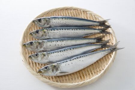 Sids, Japanese coastal seafoodの写真素材