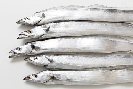 Swordfish, Japanese seafoodの写真素材