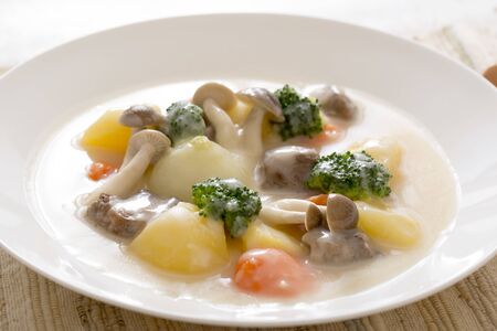 Healthy vegetable stewの写真素材
