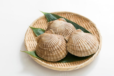 Natural scallops