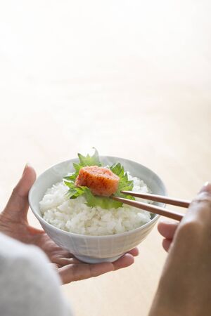 Mentaiko and riceの写真素材