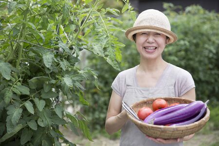 A woman delighted with the harvest of a home gardenの写真素材