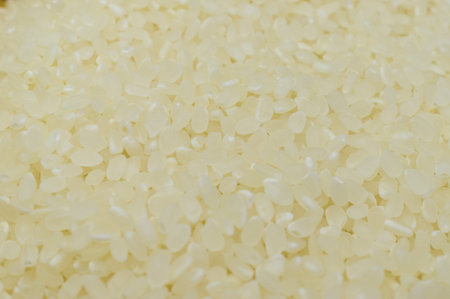 riceの写真素材