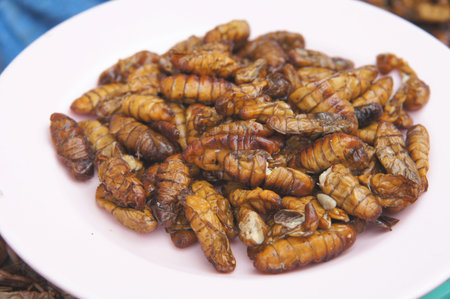 the exotic menu in thailand is fried insectの写真素材