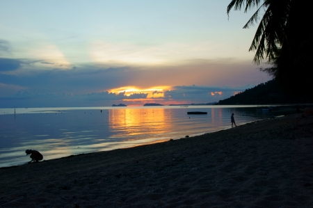 Tropical beach at sunsetの写真素材