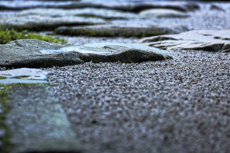 In the garden of the japanese wealty farmer mansionの写真素材