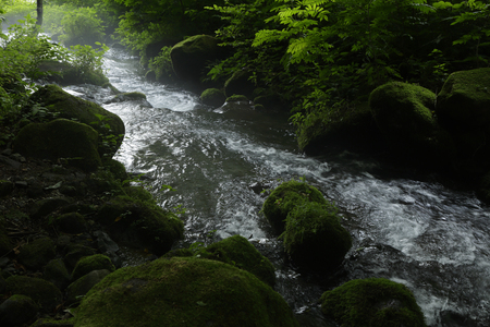 Kitanizawa mountain streamの写真素材