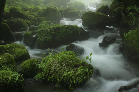Kitanizawa mountain streamの写真素材