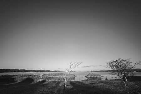 Lake Shinji at sunset
I went to Lake Shinji to take a picture.の写真素材