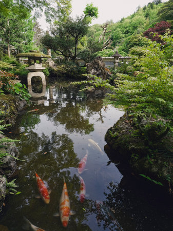 A Trip to the Iwami Region of Shimane Prefecture - Travel to experience local culture and lifeの写真素材
