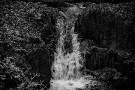 A frame in a mountain stream in autumn, when the leaves are still early.の写真素材
