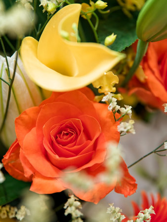 Bouquet of beautiful orange and yellow roses on white background.