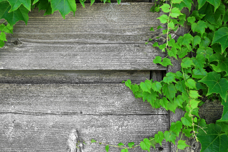The staff were wood fenceの写真素材