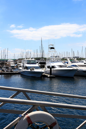 Luxurious summer view of the marina with a stylish cruiser mooredの写真素材