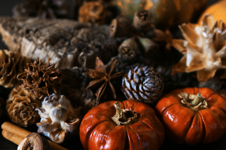 Pumpkin decoration that images Halloweenの写真素材