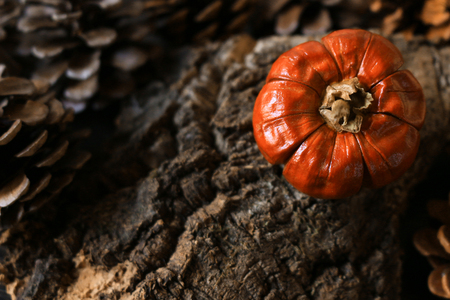 Pumpkin decoration that images Halloweenの写真素材