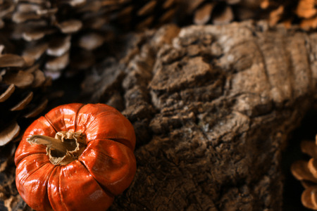 Pumpkin decoration that images Halloweenの写真素材