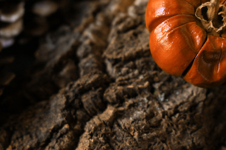 Pumpkin decoration that images Halloweenの写真素材