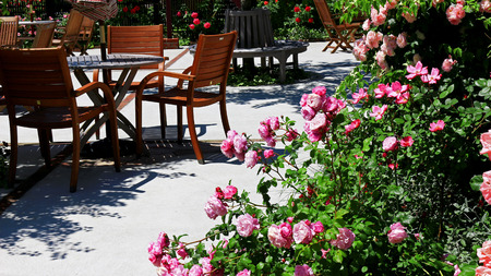 Scenery of the cafe terrace of the city in which roses flower bloomの写真素材
